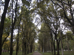 Дракон и заброшенный ресторан: Солнечный остров Краснодара осенью