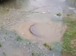 В Краснодаре вода из канализации затопила дворовые территории: видео