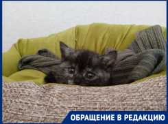 Новоукраинские старики и дети замерзают в Краснодарском крае