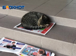 Сильный дождь обрушится на Краснодарский край