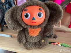 «Подделка какая-то и воняет»: Краснодар заполонили игрушки Чебурашка