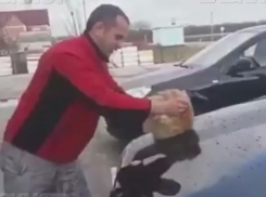 Полиция не стала заводить уголовное дело на жителя Кубани, помывшего котом машину