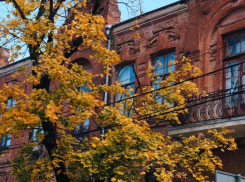 В Краснодаре наступила настоящая осень: город погрузился в красочные листья и прохладный воздух