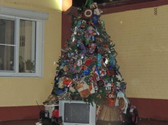 В Краснодаре установили необычную елку из мусора 