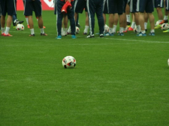  «Урожай» проведет два сбора в Турции и один — в Сочи 