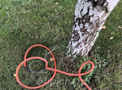 Хозяйку базы отдыха в Краснодарском крае оштрафовали на 30 000 рублей после гибели ребёнка от удара током