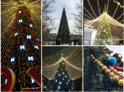 Баттл ёлок: новогоднее дерево в Краснодаре назвали самым некрасивым 