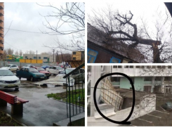 Крыша, дерево, забор: сильный ветер в Краснодаре сдувает все на своем пути 