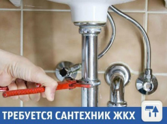 В Краснодаре ищут добросоветсного сантехника