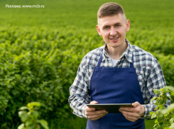 С начала года РНКБ выдал 500 млн рублей льготных кредитов сельхозпроизводителям