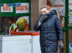 Роспотребнадзор Кубани призвал жителей не ходить по магазинам перед Новым годом