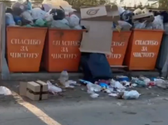 Красноармейский район Краснодарского края засыпали мусором
