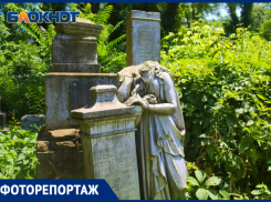 Древнее прошлое в дебрях Всесвятского кладбища