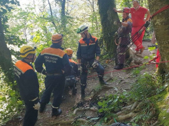 В Сочи турист чудом выжил после падения с 20-метровой высоты