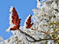 Экстренное предупреждение: в Краснодарском крае прогнозируют сильный дождь и мокрый снег 