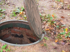 Краснодарка поблагодарила незнакомца за спасение собаки