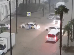 Сочи затопило: свет отключён, дороги смыло, а эвакуации не будет