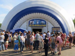 Женщину обокрали в очереди в дельфинарий