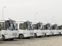 После скандала в СМИ власти Краснодара увеличили количество школьных автобусов