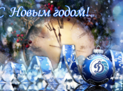 Волейбольный клуб «Динамо» поздравил Краснодар с Новым Годом