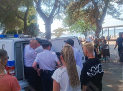 В Геленджике туристы пытались отбить у полиции пьяного задержанного друга