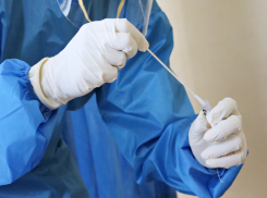 Стабильность по COVID-19: на Кубани 262 заболевших 