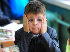 Родителей в Новороссийске заставляют оплатить бесплатную выставку