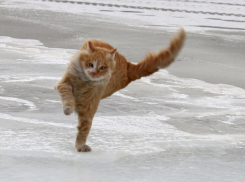  В ближайшие часы на Кубани усилится ветер 