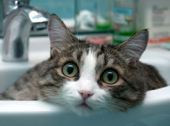 Горячая вода исчезнет на две недели в трети многоэтажек Краснодара