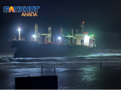 Сорванные крыши, упавшие деревья и сухогруз на мели: на Краснодарский край обрушился шторм