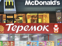 «Мы так не умеем»: сеть ресторанов «Теремок» в Краснодаре не сможет заменить McDonald's
