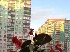 Краснодар сегодня, 28 апреля: похолодает, дождь и гроза. Много праздников и именин. Отключат свет. Если больно – грызем веточку рябины  