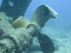 В Геленджике бизнесмена обязали поднять затонувшее судно 