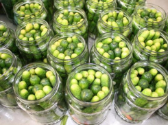 Консервные заводы Кубани переработали первую тысячу тонн огурцов