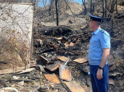 На жителя Геленджика завели уголовное дело за крупномасштабный лесной пожар