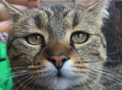 В Краснодарском крае ожидаются резкие температурные колебания