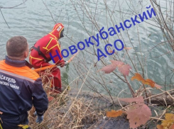 В Краснодарском крае обнаружили труп в реке