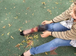 Собаки напали на врача и искусали 9-летнюю девочку на Кубани