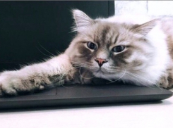 Резкое похолодание ожидается в Краснодарском крае 