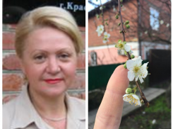 В Якутии минус 40, а в Краснодаре зацвела вишня 