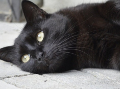  Также тепло, но пройдет небольшой дождь на Кубани 