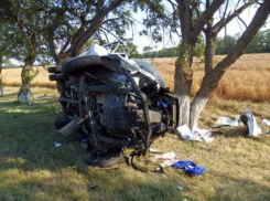 Водитель фургона на автодороге «Дон» не справился с управлением