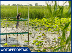В Краснодаре показали самые яркие кадры июня: уникальные фото и видео