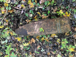 Грибники нашли несколько мин и снарядов в лесах Кубани 