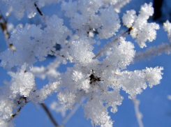 В Краснодаре морозы продержатся до Рождества