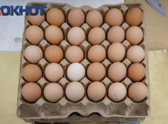 Неожиданное понижение цен на яйца зафиксировали в Краснодаре