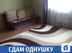 В краснодаре «однушку» на Московской сдают за недорого
