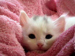 В первый день лета в Краснодаре воздух прогреется до 27 градусов