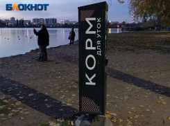 Автоматы с кормом для уток появились у водоемов Краснодара