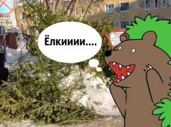 Кому нужны «использованные» елки Краснодара?